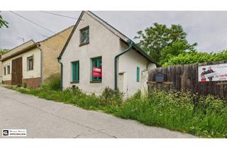 Bauernhäuser zu kaufen in 2276 Katzelsdorf, Charmantes Bauernhaus in Katzelsdorf – Gepflegtes Zuhause mit Garten