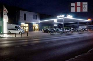 Büro zu mieten in 3003 Gablitz, Moderne, bestens ausgestattete KFZ-Werkstatt, §57 Überprüfungen, Hebebühnen, E-Ladestationen, Kunden- und Personalräume!
