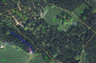 Gewerbeimmobilie kaufen in Grafenschlag, 4273 Unterweißenbach, Wald und Naturjuwel
