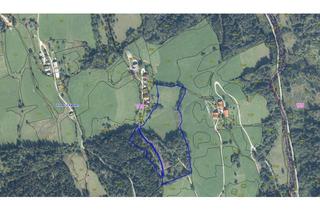 Gewerbeimmobilie kaufen in 9861 Puchreit, Land- und forstwirtschaftliche Fläche mit 37.394 m² in Puchreit (Bezirk Spittal / Drau)