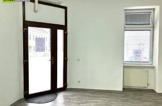 Gewerbeimmobilie kaufen in Wilhelminenstraße, 1160 Wien, Helles Büro und Geschäftslokal mit Schlafmöglichkeit