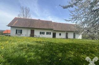 Grundstück zu kaufen in 8262 Ziegenberg, Kellerstöckl auf Baugrund mit Weingarten und kleinem Wäldchen