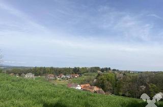 Grundstück zu kaufen in 8262 Ziegenberg, Kellerstöckl auf Baugrund mit Weingarten und kleinem Wäldchen