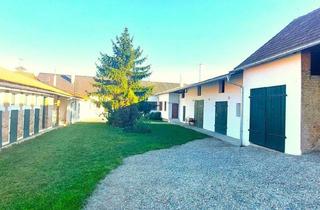 Bauernhäuser zu kaufen in 2253 Tallesbrunn, Streckhof neu renoviert! Endlich Platz- Ideal für 2 Generationen