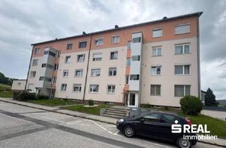 Wohnung kaufen in 4701 Bad Schallerbach, Gemütliche Garçonnière in Bad Schallerbach ? zentrumsnah