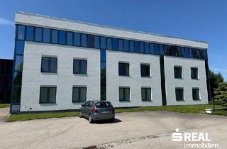Büro zu mieten in 4600 Thalheim bei Wels, Attraktives Dienstleistungsbüro im Museumsquartier - Angelehner