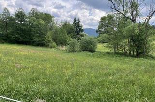 Grundstück zu kaufen in 9313 Sankt Georgen am Längsee, BAULAND DORFGEBIET! TRAUMHAFTES BAUGRUNDSTÜCK IN ST. GEORGEN AM LÄNGSEE