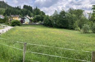 Grundstück zu kaufen in 9313 Sankt Georgen am Längsee, BAULAND DORFGEBIET! TRAUMHAFTES BAUGRUNDSTÜCK IN ST. GEORGEN AM LÄNGSEE