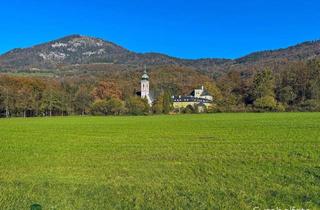 Grundstück zu kaufen in 5026 Salzburg, Traumhaftes Grundstück mit Bestandsobjekt in Aigen
