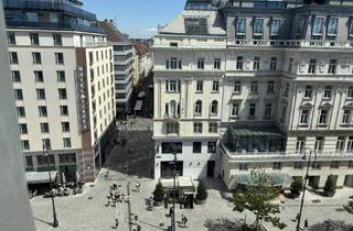 Wohnung mieten in Plankengasse, 1010 Wien, Luxuswohnung in absoluter Bestlage!