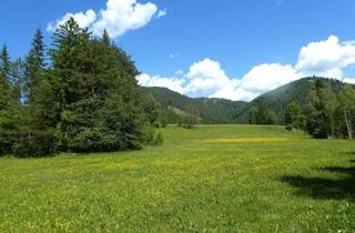 Grundstück zu kaufen in 2663 Rohr im Gebirge, Natur pur im Schneebergland 15.000 m2 Eigengrund mit ca. 3.500 m2 Bauland