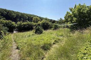 Grundstück zu kaufen in 3001 Mauerbach, SCHULTZ IMMOBILIEN - Traumhafte(s) Baugrundstück(e) in Mauerbach – Gesamtfläche ca. 1.771 m² bestehend aus 2 nebeneinander liegenden Grundstücken - ab € 324.500,-