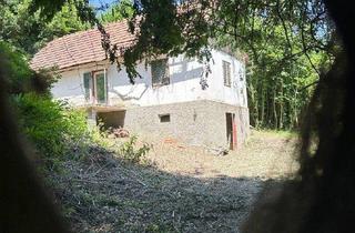 Bauernhäuser zu kaufen in 8322 Mitterfladnitz, Eine „Dornröschen-Liegenschaft“ zum Wachküssen!