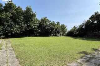 Grundstück zu kaufen in 7100 Neusiedl am See, Baugrundstück mit Potenzial - zentrale und ruhige Lage mit Seeblick