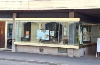 Geschäftslokal mieten in 2020 Hollabrunn, Ebenerdiges Geschäftslokal - direkt im Zentrum!