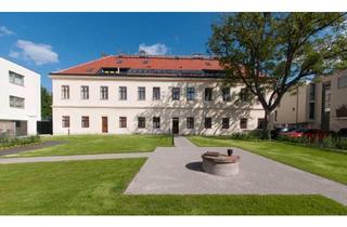 Geschäftslokal mieten in Kaiser-Franz-Josef-Straße, 2301 Groß-Enzersdorf, Arbeiten auf historischem Boden