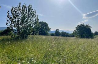 Grundstück zu kaufen in 9181 Feistritz im Rosental, Großzügiges Grundstück im Rosental!