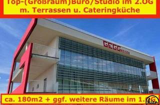 Büro zu mieten in 8521 Schönaich, Wettmannstätten: Traum-Großraumbüro / (Yoga)-Studio / Praxis mit Cateringküche und 2 große Terrassen