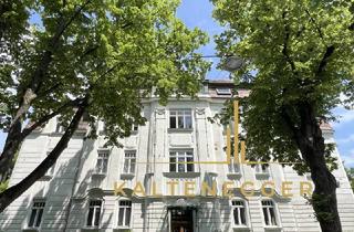 Loft kaufen in Larochegasse, 1130 Wien, 325 m² Altbau-Rarität mit Balkon, 340 m² Garten & Garage in Bestlage von Hietzing