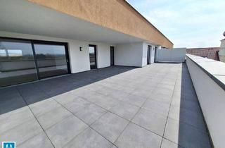 Wohnung kaufen in 4070 Pupping, Weitblick inklusive – moderne 132,23m² Dachgeschosswohnung mit Flair - Top C18