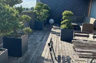 Penthouse mieten in 6971 Hard, Exklusives Penthouse zu vermieten - 140 m² Wohnfläche, 50 m² Terrasse, 2 TG Plätze
