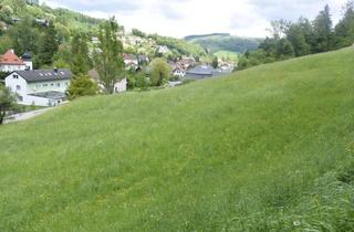 Grundstück zu kaufen in 3340 Waidhofen an der Ybbs, Großzügiger Baugrund in Zentrumsnähe
