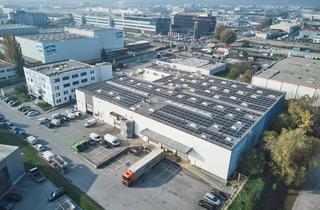 Büro zu mieten in 2351 Wiener Neudorf, Wiener Neudorf - Objekt 50