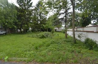Einfamilienhaus kaufen in 2601 Sollenau, Erstbezug, Frisch sanierte Stockhaus mit Pool in Grünlage, ruhigen Nebenstraße