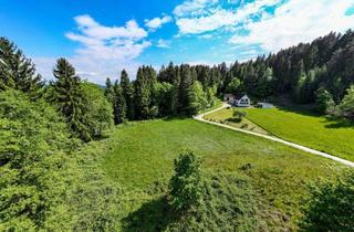 Grundstück zu kaufen in 9063 Kading, Traumhafter Grund in idyllischer Lage - ideal zur Errichtung eines Eigenheims - rd. 6000 m² Grund mit Punktwidmung in Maria Saal, Kärnten