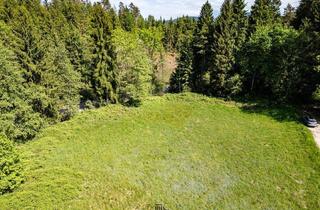 Grundstück zu kaufen in 9063 Kading, Traumhafter Grund in idyllischer Lage - ideal zur Errichtung eines Eigenheims - rd. 6000 m² Grund mit Punktwidmung in Maria Saal, Kärnten