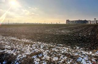 Grundstück zu kaufen in Einkaufsmeile Langenrohr, 3442 Asparn, Betriebsgebiet vor den Toren von Tulln!