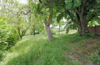 Grundstück zu kaufen in Herzogbergstraße 63, 2345 Brunn am Gebirge, Prominente Villengegend mit gepflegter Nachbarschaft! Liegenschaft mit Altbestand und Wienblick