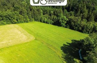 Grundstück zu kaufen in 4320 Perg, FELDFRISCHE VIELFALT - 1,8 ha Landwirtschaftliche Nutzfläche mit Waldanteil in Perg