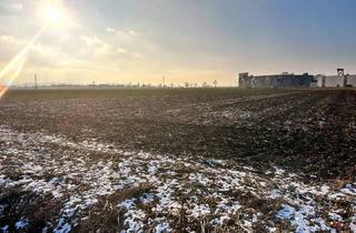 Grundstück zu kaufen in Einkaufsmeile Langenrohr, 3442 Asparn, Betriebsgebiet vor den Toren von Tulln!