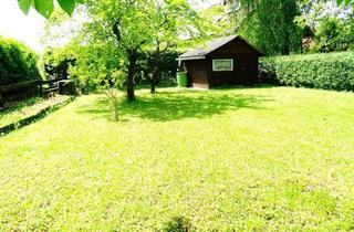 Grundstück zu kaufen in 4522 Sierning, WOHNBAUGRUNDSTÜCK: Grünes Paradies in Stadtnähe mit teilweiser Bebauung: 2 Garagen + Wohnwagencarport + Keller, ....