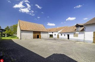 Gewerbeimmobilie kaufen in 2431 Enzersdorf an der Fischa, Ehemaliger Vierkanthof in Enzersdorf an der Fischa