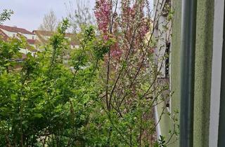 Wohnung kaufen in 8430 Leibnitz, Wohnung zu verkaufen