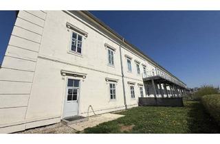 Wohnung mieten in 7100 Neusiedl am See, 3-Zimmer Gartenwohnung! Residieren im Schloss