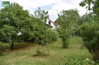 Haus kaufen in 7323 Ritzing, Ländliche Idylle im Burgenland: Charmantes Landhaus mit 4 Zimmern, 130 m², Garten, Terrasse, u.v.m.. - WOHNTRAUM