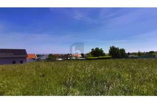 Grundstück zu kaufen in 7091 Breitenbrunn am Neusiedler See, BLICK AUF DEN NEUSIEDLERSEE - ERHÖHTE RUHELAGE