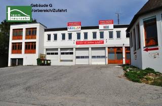 Immobilie mieten in Industriegelände, 7082 Donnerskirchen, Büro, Geschäft, Werkstatt, Lager! Industriegelände Donnerskirchen! ab 10 m² ab 80€ Netto/Monat. - WOHNTRAUM