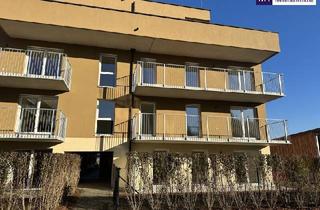 Wohnung mieten in 8401 Kalsdorf bei Graz, Erleben Sie Wohnkomfort pur! Lichtdurchflutete 2-Zimmer-Neubauwohnung mit Südwestausrichtung, großzügigem Balkon, exklusiver Tischlerküche und Tiefgaragenplatz.