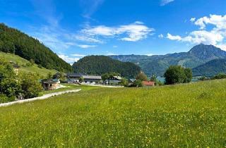 Grundstück zu kaufen in 5360 Aschau, St. Wolfgang: Grundstück mit Berg- & Seeblick!