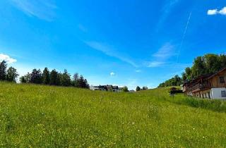 Grundstück zu kaufen in 5360 Aschau, St. Wolfgang: Grundstück mit Berg- & Seeblick!