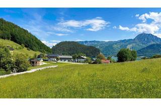 Grundstück zu kaufen in 5360 Aschau, St. Wolfgang: Grundstück mit Berg- & Seeblick!