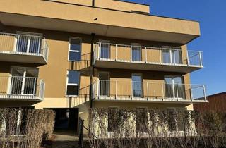 Wohnung mieten in Billa, Flughafen, Copa Copacabana, 8401 Kalsdorf bei Graz, Erleben Sie Wohnkomfort pur! Lichtdurchflutete 2-Zimmer-Neubauwohnung mit Südwestausrichtung, großzügigem Balkon, exklusiver Tischlerküche und Tiefgaragenplatz.