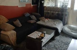 Gemeindewohnung in Donau, 1220 Wien, Gemeindewohnung,Nachmieter gesucht