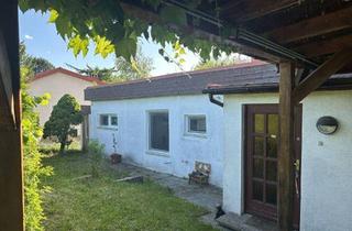 Haus kaufen in 2491 Hornstein, Neufelder See ! Pack‘ die Badehose ein ..