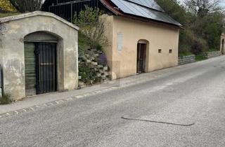 Lager kaufen in 2123 Schleinbach, EINZIGARTIGES WEINGUT MIT ALTER WEINPRESSE UND GROßEM ENTWICKLUNGSPOTENZIAL