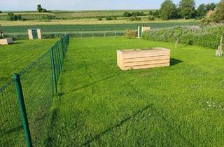  in 2011 Sierndorf, Garten neu angelegt